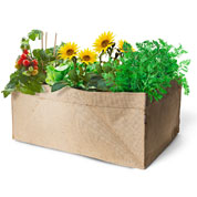 mini-jardin potager bio special enfants